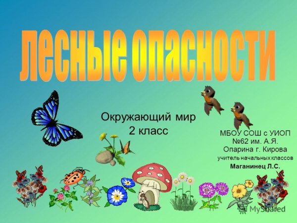 Тема Лесные опасности