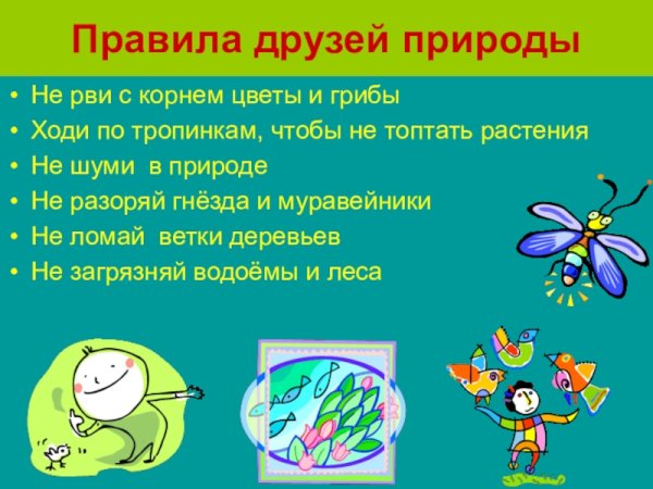 Друзья на природе