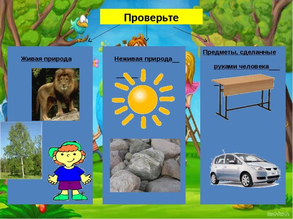 Живые и неживые объекты