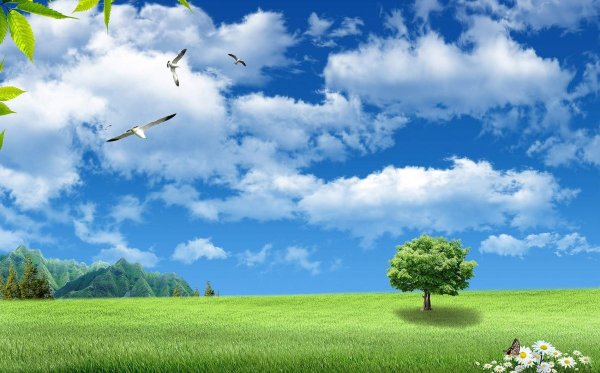 Фон для презентации по экологии