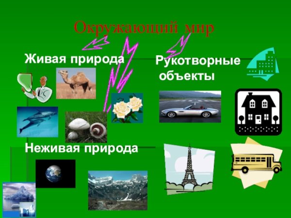 Природа и рукотворный мир