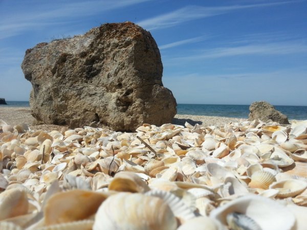 Генеральские пляжи Керчь ракушечный пляж