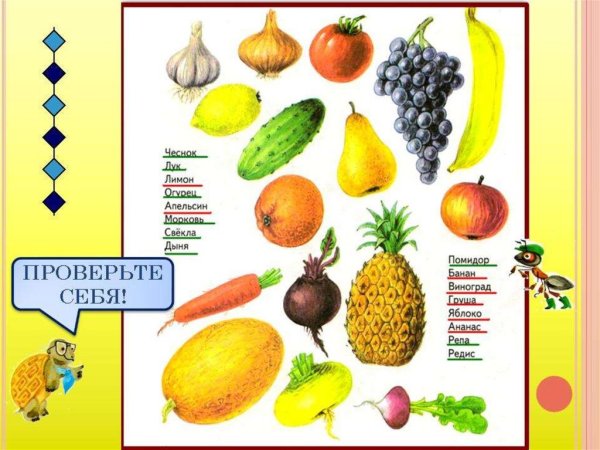 Презентация по теме овощи и фрукты