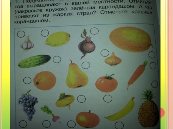 Фрукты и овощи 1 класс