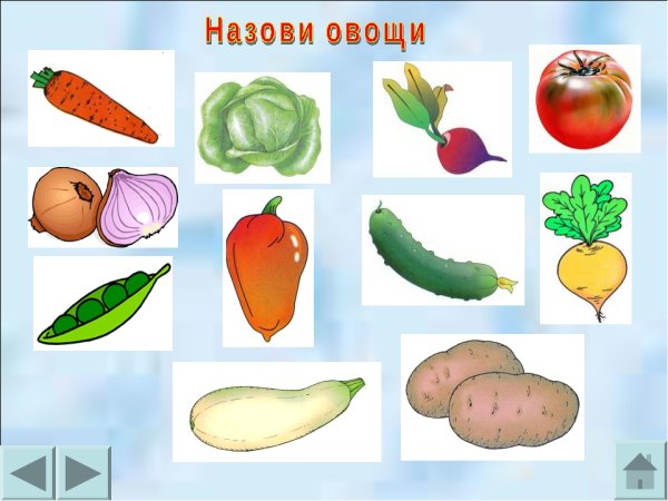 Овощи для дошколят