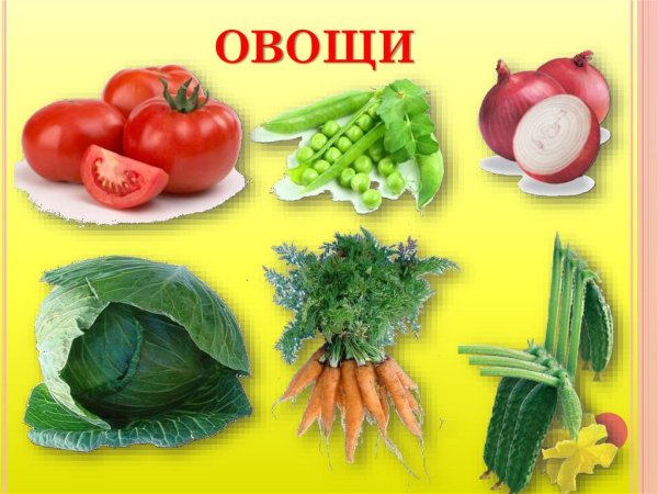 Фрукты и овощи 1 класс