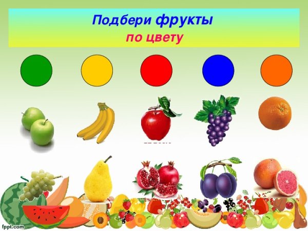 Овощи и фрукты для дошкольников