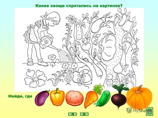Овощи и фрукты задания для детей