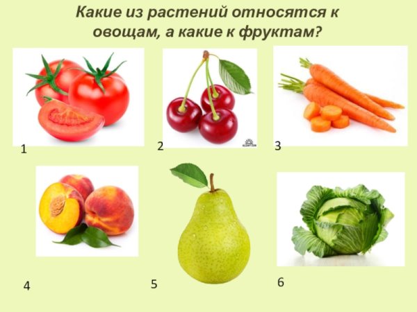 Овощи окружающий мир