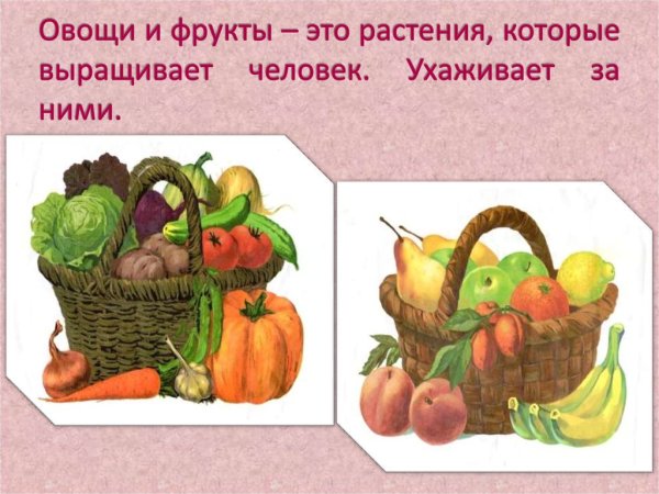 Презентация на тему овощи и фрукты