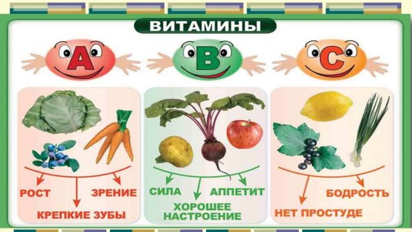 Овощи и фрукты 1 класс окружающий мир