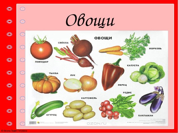 Тема овощи