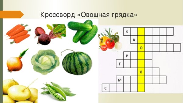 Кроссворд овощи и фрукты для детей