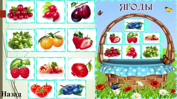 Изучение ягод для дошкольников