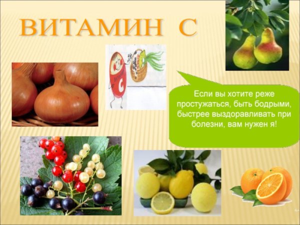 Фрукты 1 класс