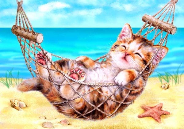 Кот отдыхает