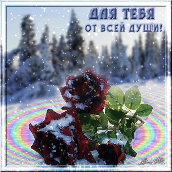 Зимняя роза для тебя