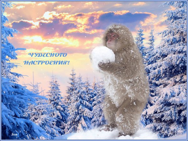 Доброго снежного дня и хорошего настроения