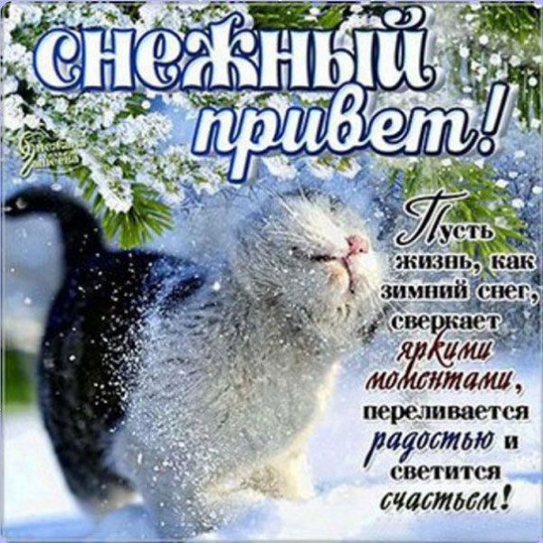 Отличного дня и настроения снежного