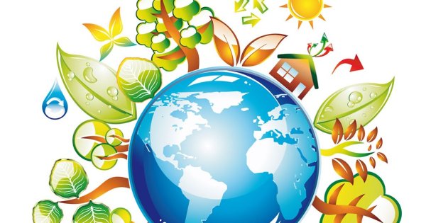 Экологическая мозаика