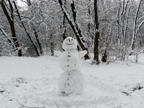 Город снеговиков