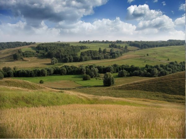 Восточно европейская Ровнина