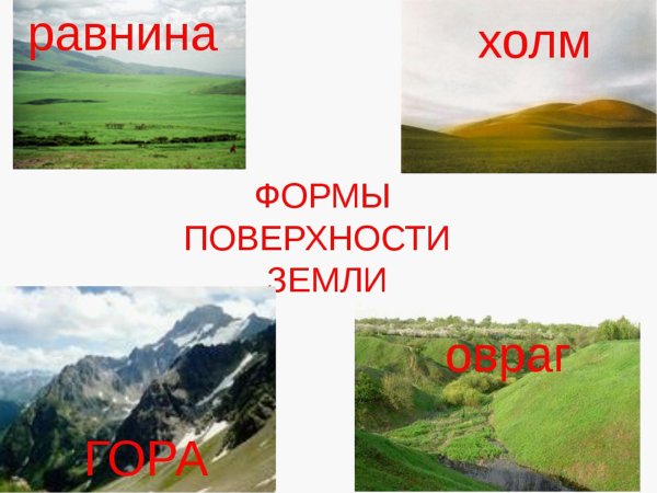Формы поверхности суши: равнины, холмы, овраги.