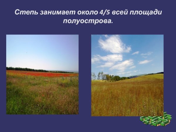 Поверхность края окружающий мир