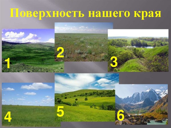 Поверхности нашего кра