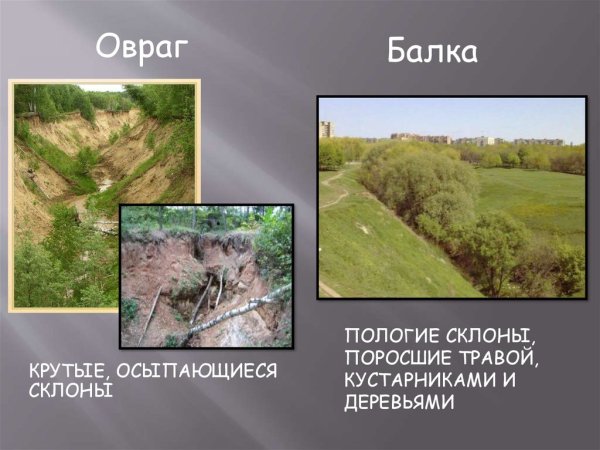 Овраги и балки
