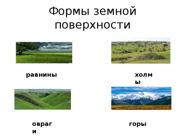 Формы поверхности суши: равнины, холмы, овраги.