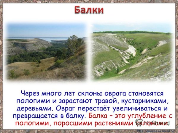 Балка углубление с пологими склонами поросшими растениями