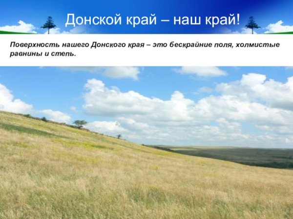 Земная поверхность Ростовской области