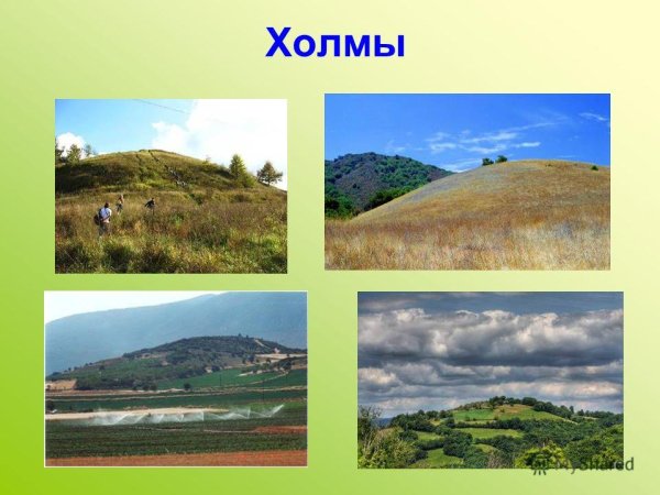 Формы поверхности суши: равнины, холмы, овраги.