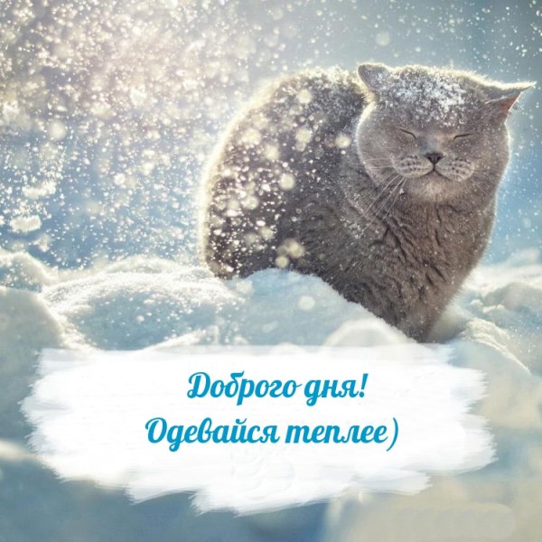 Доброе Снежное утро