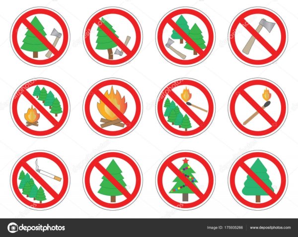 Знаки что нельзя делать в лесу