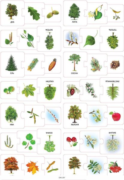 Игра с какого дерева листок