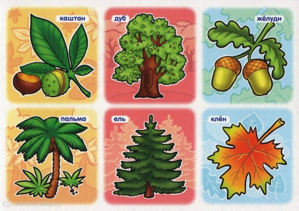 Развивающее лото для детей