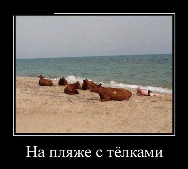 Смешные на пляже демотиваторы