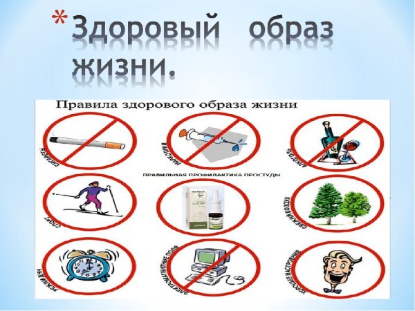 Правила ЗОЖ