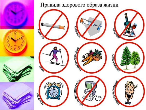 Правила здорового образа жизни