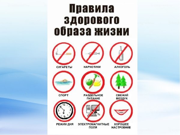 Правила здорового образа жизни