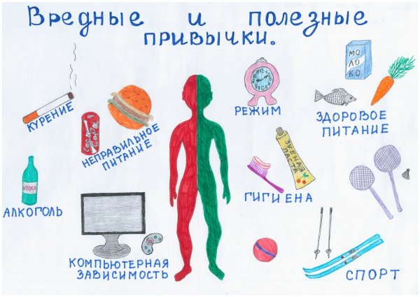 Полезные и вредные привычки