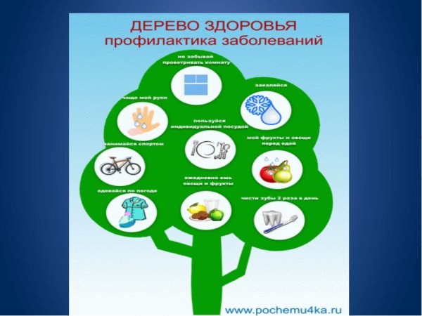 Профилактика здорового образа жизни