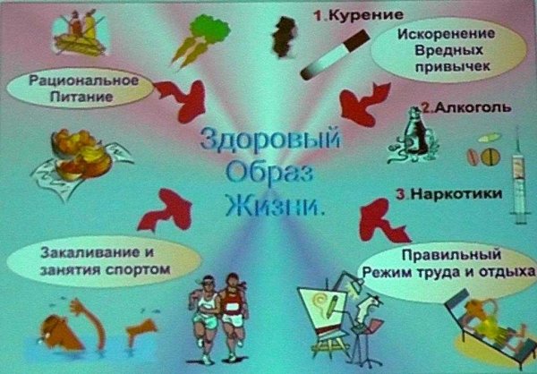 Проект по здоровому образу жизни