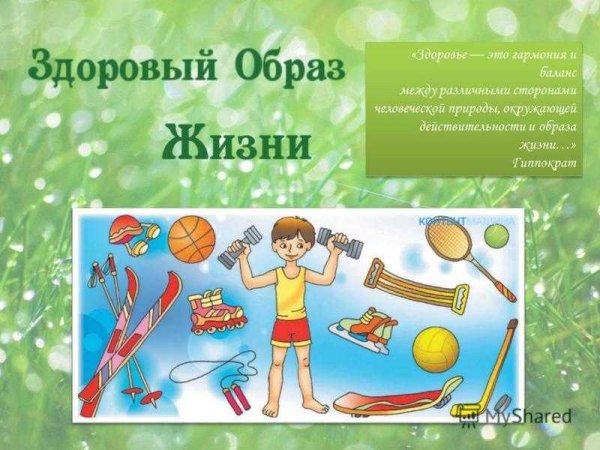 Вести здоровый образ жизни