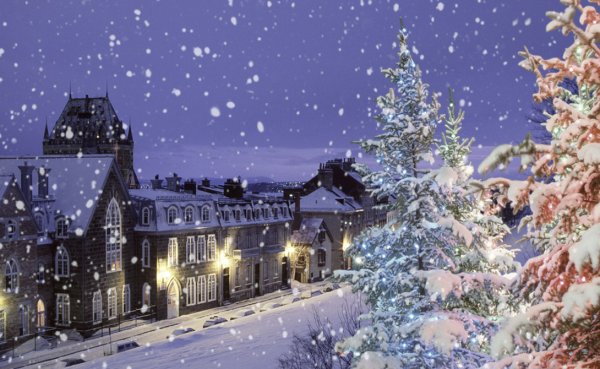 Заснеженный город