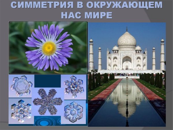 Симметрия в окружающем мире