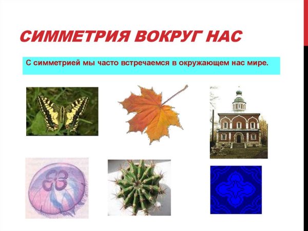 Симметрия вокруг нас