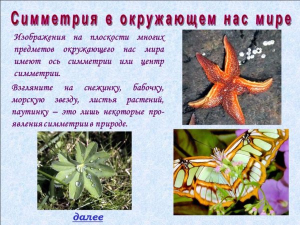 Симметрия в окружающем нас мире